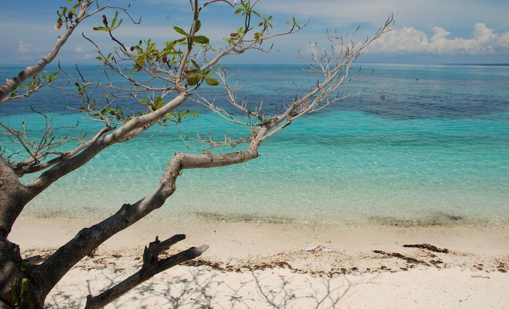 Malapascua Legend Water Sports And Resort Экстерьер фото